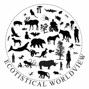 Meet your Posher, Ve